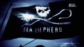 Animal Planet – Whale Wars (Theme Song)