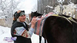 ცხენოსანი ქალი პატარა მიტარბიდან - ნუგეშა ჯანელიძის ცხოვრება მთაში