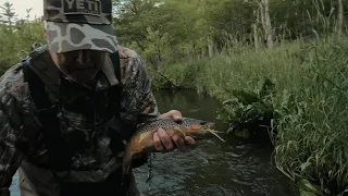 MEAT FLIES - Chasing BIG brown TROUT with big STREAMERS and MICE!