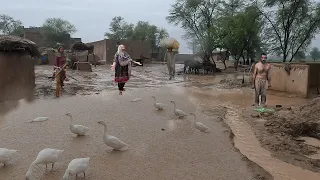 Very Fast Heavy Rain in Village Punjab Pakistan |  Beautiful rain view on mud Homes