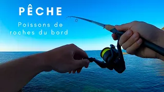 Pêche du Bord en mer Méditerranée Mai 2020 - Var