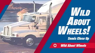 Semis Close Up | Wild About Wheels