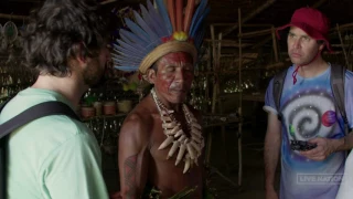 101 Earthworks: Animal Collective: The Amazon (Special Big Beetle Deleted Scene)
