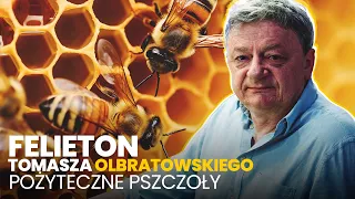 Pożyteczne pszczoły - (21.05.2024) Felieton Tomasza Olbratowskiego