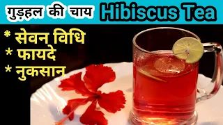 Benifits of Hibiscus Tea | गुड़हल का फूल की चाय के फायदे, नुकसान और सेवन विधि | Gudhal Ki Chai