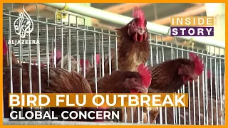 Could bird flu become a pandemic? | Inside Story