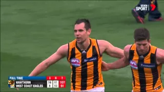 Siren time: Hawks claim the 2015 flag - AFL