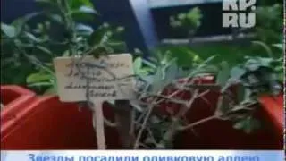Дима Бикбаев посадил оливки, 28.06.2011