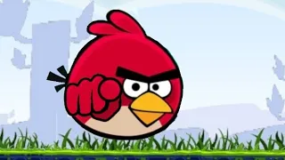 POV:You're an Angry Bird