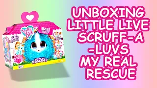 Moose Toys Little Live Scruff-A-Luvs My Real Rescue from Amazon - UNBOXING