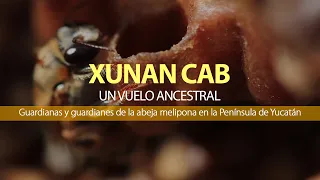 Xunan Cab "Un vuelo ancestral"