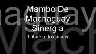 SINERGIA  -  MAMBO DE MACHAGUAY