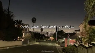 Ando Ganas (Llora llora) - Los Piojos | Letras en Español