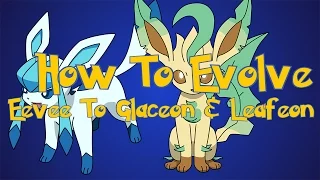 Pokemon Omega Ruby and Alpha Sapphire Tips: How To Evolve Eevee Into Glaceon and Leafeon