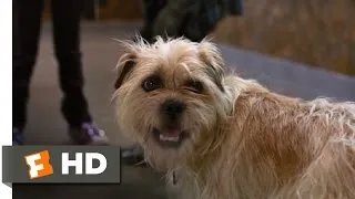 Spy Kids 4 (6/11) Movie CLIP - The Coolest Dog Ever (2011) HD