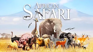 African Safari | Full Movie | Wildlife Documentary