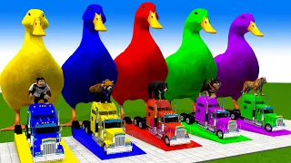 5 Giant Duck, Monkey, Piglet, chicken, dog, elephant, cow, Sheep, Transfiguration funny animal 2023