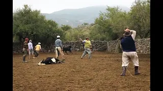 YERRA en CALAMUCHITA - 2da USINA - Año 2016