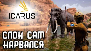 ICARUS ☛ Сканирование местности: Каньоны ✌