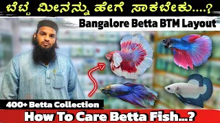 How To Care Betta Fish at Home..?❗ | ಬೆಟ್ಟ ಮೀನನ್ನು ಹೇಗೆ ಸಾಕಬೇಕು😧 | Betta Fish Care Tips in Kannada👌🏻