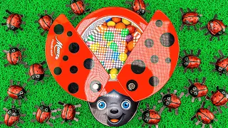 Very Satisfying Video l Yummy Mixing Candy ASMR in Glossy LadyBug with Color Soccer Ball & New Slime