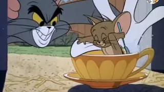 Purr-Chance to Dream (Clip no. 2) | Tom And Jerry Show Officials | #tomandjerryshowoffical