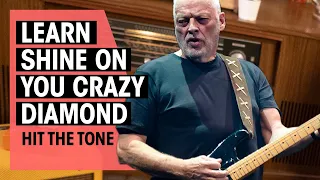 Hit the Tone | Shine on You Crazy Diamond by Pink Floyd (David Gilmour) | Ep. 12 | Thomann