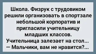 Физрук с Трудовиком Заманили Учительницу на Корпоратив! Сборник Свежих Анекдотов! Юмор!