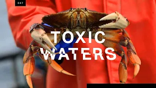 Who’s to blame for the neurotoxin poisoning the Pacific?