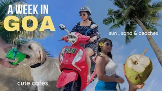 6 Days Ultimate GOA Diaries | beaches , cafes , sunsets & freedom | GOA VLOG