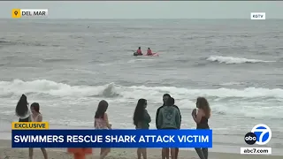 Witnesses rush into ocean to help swimmer attacked by shark near San Diego