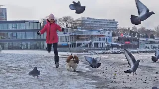 Анапа зимой. Прогулка на море. Как выглядит курорт в морозные дни