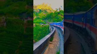 Train Travel - Nine Arches Bridge | Sri Lanka 🇱🇰  #shorts