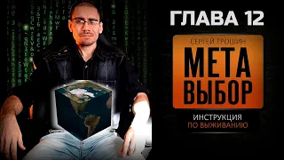 Почему происходит перетряска. 12 глава "Метавыбор. Инструкция по выживанию" [Сергей Трошин]