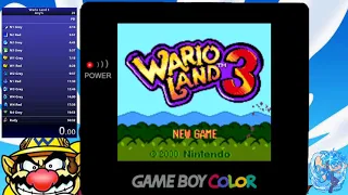 Wario Land 3 Speedrun - Any% - 47:43