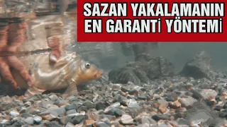 SAZAN BALIĞI NASIL YAKALANIR / SAZAN TAKIMI NASIL YAPILIR / SAZAN AVI 2022 / CARP FISHING