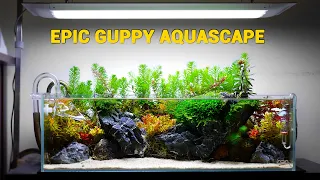 Epic Guppy Aquarium Turorial