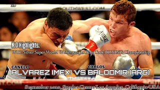 KNOCKOUT Fights: CANELO ALVAREZ (Mexico) VS CARLOS BALDOMIR (Argentina) / BOXING l HD