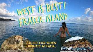 WEST IS BEST ON FRASER...APART FROM WILD DINGOES