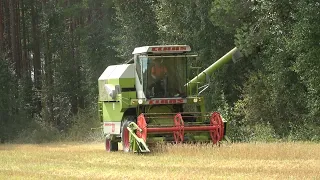 CLAAS DOMINATOR 38