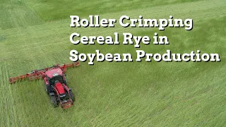 Roller Crimping Cereal Rye in Soybean Production - Practical Cover Croppers