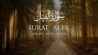 Surat Al-Fīl (The Elephant) | Mishary Rashid Alafasy | مشاري بن راشد العفاسي | سورة الفيل