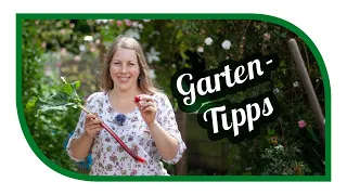 Aussaat & Gartentipps im Juni 🍅 Hitzewelle 2019 💦 richtig  Mulchen und Wasser sparen