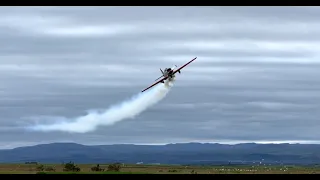 Yak 52 Aerobatics with a stag