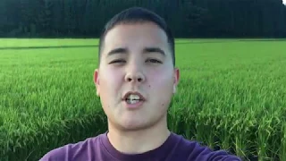 Vlog #7 | Japanese Gelato Ice Cream and Rice Patty Fields