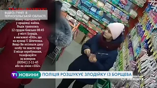 Поліція розшукує злодійку із Борщева