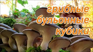 Грибные бульонные кубики