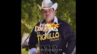 Mix De Puros Corridos De El Tigrillo Palma