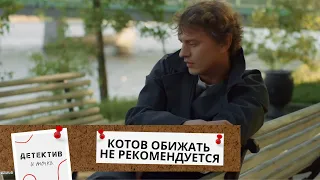 БЕЗУМНАЯ КОШАЧЬЯ ЗАГАДКА!МИСТИЧЕСКИЙ ПУТЬ ФОТОГРАФА И ЕЕ ПОИСК ПРАВДЫ!Котов обижать не рекомендуется