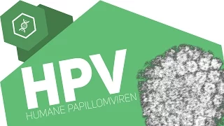 HPV / Humane Papillomaviren - Ein gefährliches Virus!